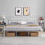 Delaenie Metal Platform Bed-534920295-471997032