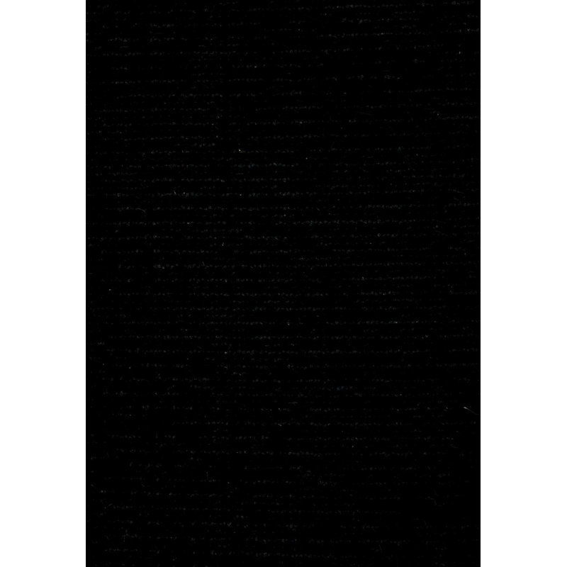 Rapture Area Rug in Black, Rectangle 6'7" x 9'10"