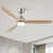 Brushed Nickel sélectionné