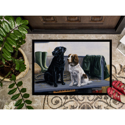 Non-Slip Outdoor Doormat