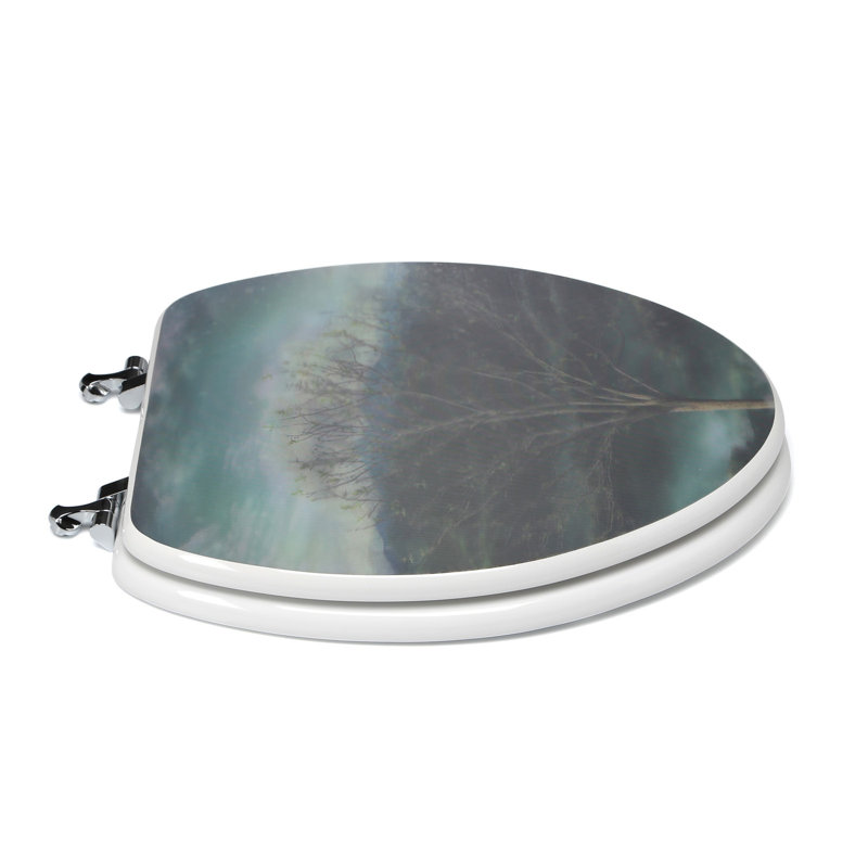 Elongated Toilet Seat and Lid