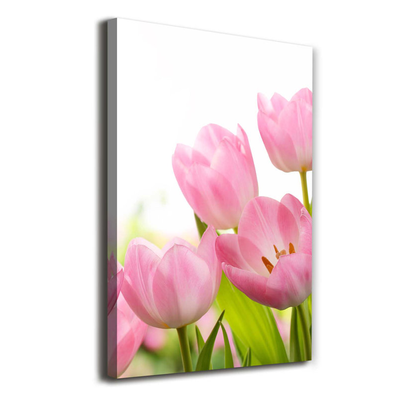 Pink Tulips - Wrapped Canvas Print