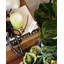 Rosemary Eucalyptus Scented Jar Candle-38053221
