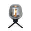 Jay Glass Novelty Lamp