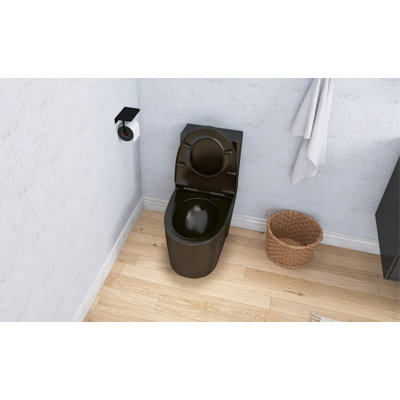 1.1/1.6 GPF Dual Flush Toilet, Comfort Height Elongated One Piece, Soft Close 1000g Map Flushing, Water Saving Floor Mounted