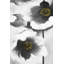 «Black and White Flowers - Romantic Botanical», reproduction encadrée