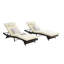 Chaises inclinables d'extérieur - Coussins d'eau pliables en acier, pelouse, bain de soleil, bord de la piscine, espace 2, salon 150, mousse confortable, jardin, plage