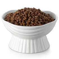 https://assets.wfcdn.com/im/75746688/resize-h210-w210%5Ecompr-r85/1995/199538660/Elevated+Food+Bowl%2FDish.jpg