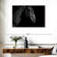 Tête de cheval Brampt-107687046
