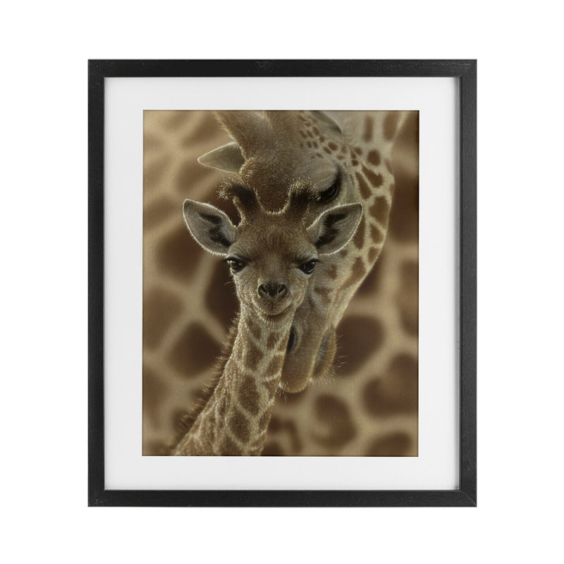 Newborn Giraffe Calf Framed Print Under Glass, design by Collin Bogle, Midnight Black Frame, 21" H x 17" W