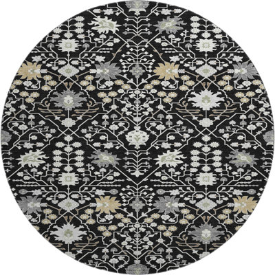 Premium Machine Washable Guada AMF1009 Oriental Rug