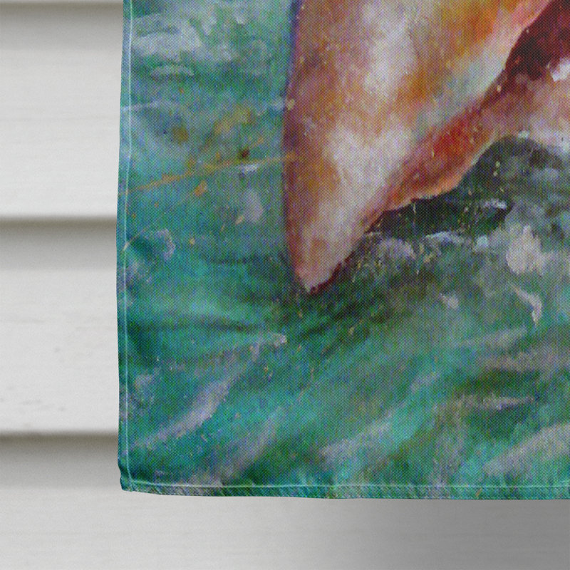 Double Sided 40'' H x 28'' W Polyester House Flag