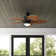 Tenisha 52'' Ceiling Fan with LED Lights