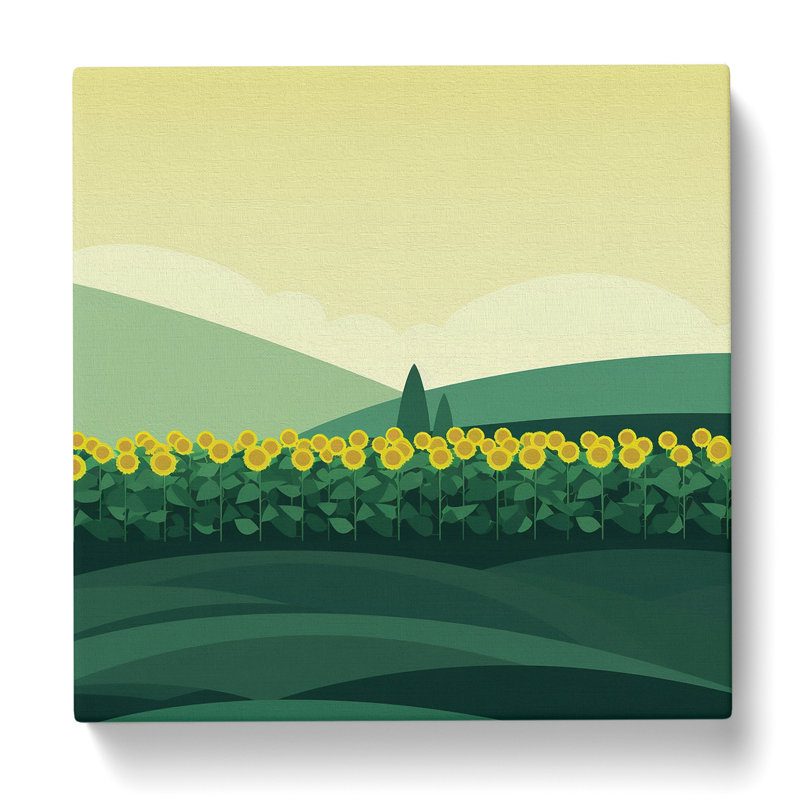 Sunflower Field Minimalism - Wrapped Canvas, 50cm H x 50cm W x 3cm D
