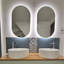 Oval LED Wall Mirror-957629123