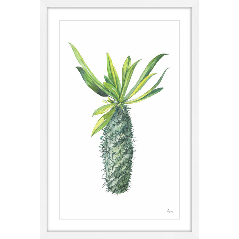 « spartacus cactus », reproduction de peinture à l’aquarelle encadrée, H 24 po x l 16 po x P 1,5 po
