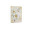 Pivoines douces beiges, art mural 24 x 18 po