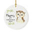 Ornement boule hibou