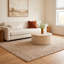 Veranda Natural Handwoven Performance Rug-22693590