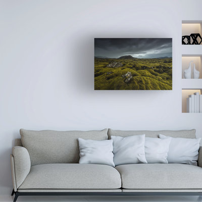 Raymond Hoffmann Green Carpet Canvas Art