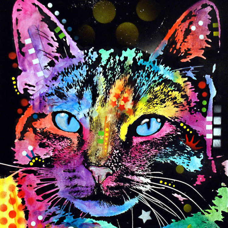 «Thoughtful Cat», impression sur toile, H 26 po x l 26 po x P 1,5 po, Toile tendue