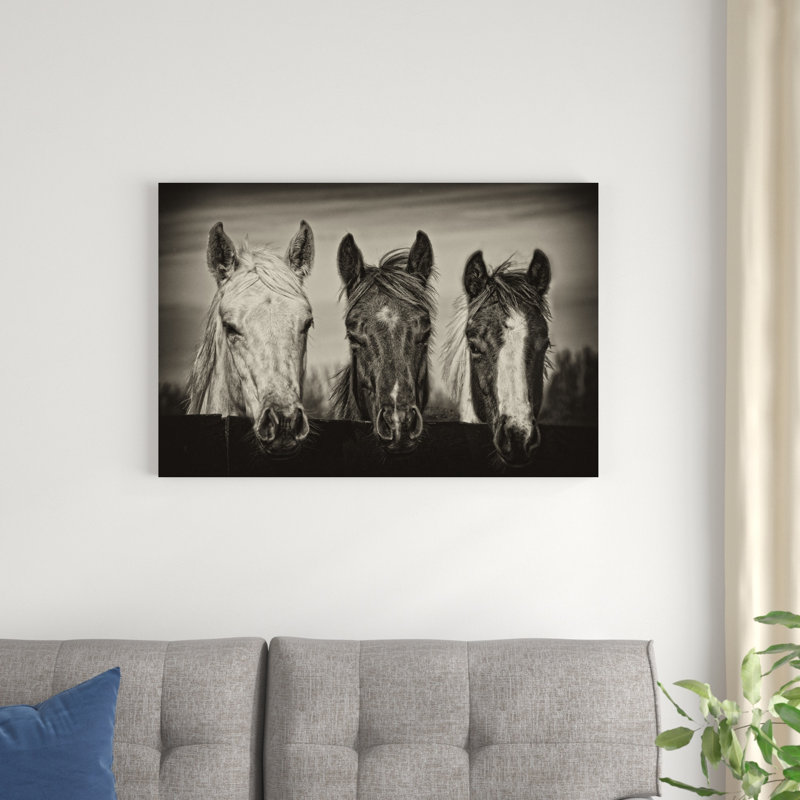Three Amigos I par P.H. Burchett - Photographie sur toile tendue, H 24 po x l 36 po x P 1,25 po