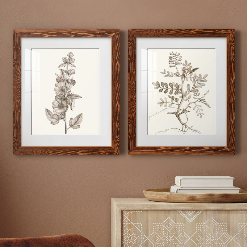 «Neutral Botanical Study», reproduction encadrée prête à être accrochée, H 24 po x l 36 po x P 1,5 po, Blanc