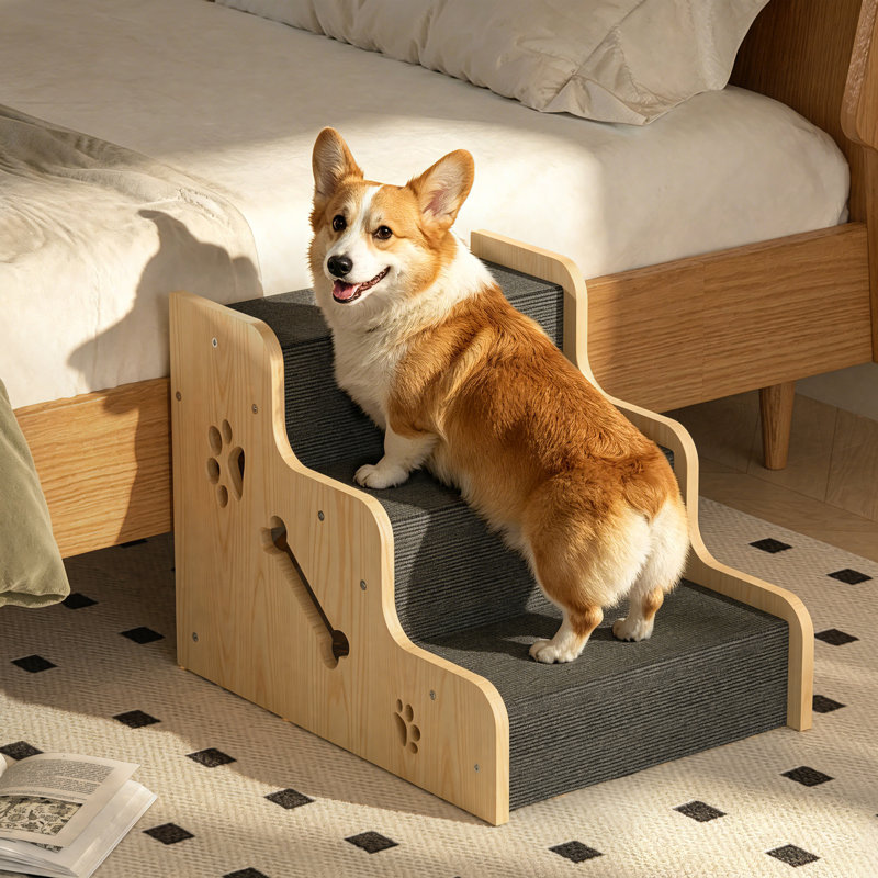 Rampe pour chien et escalier pour canapé et lit, rampe antidérapante en bois pour chien et chat en 3 étapes, marches d'escalade sécuritaires pour les petits animaux de compagnie