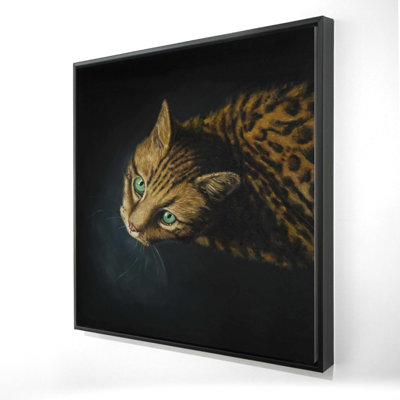" Bengal Cat "