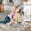 Caong Rectangle Oriental Area Rug-1435439240