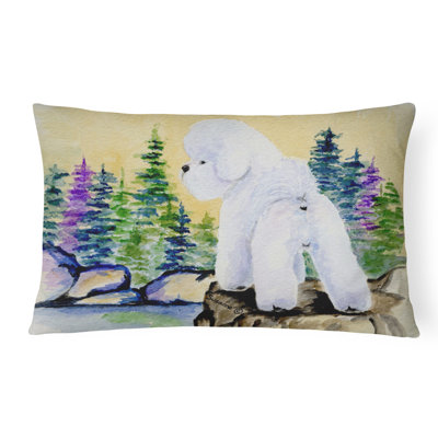 Coussin décoratif vert/beige intérieur/extérieur bichon bichon frisé