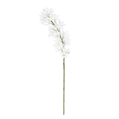 Tiges d'orchidées