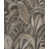 Gris anthracite