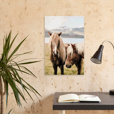 Abana - Photographie Animaux, Chevaux, Nature, Art animalier
