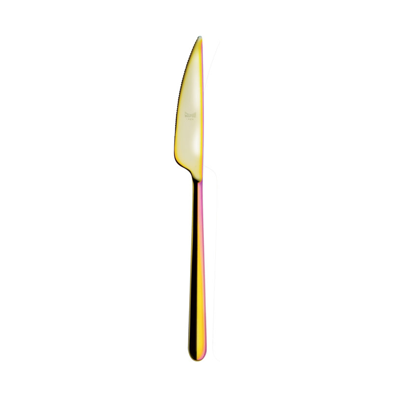 Linea Dinner Knife, Rainbow