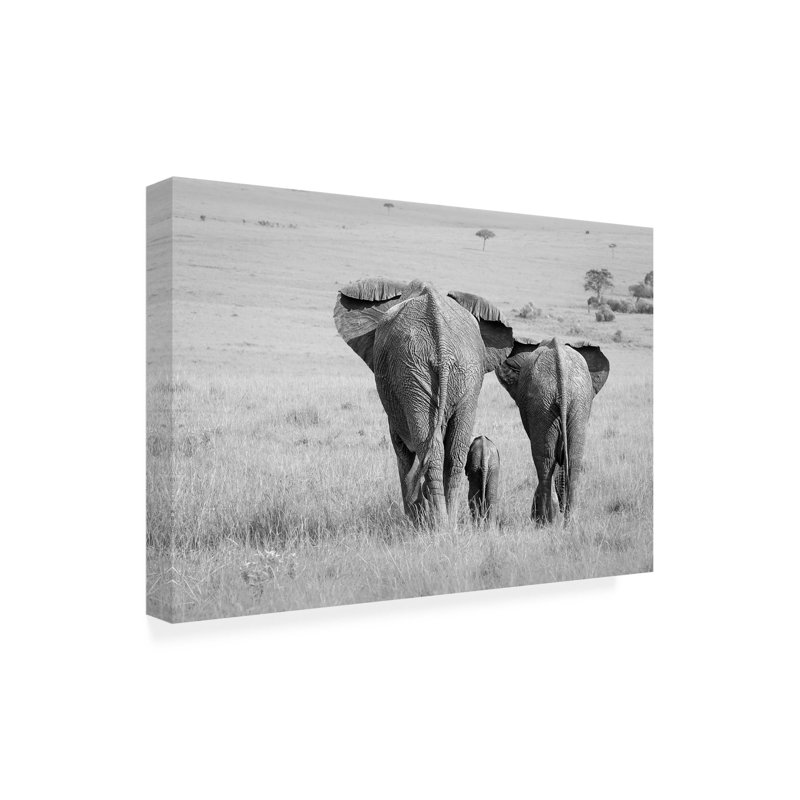 Wrapped Canvas Wall Art - Ali Khataw 'Three Butts!' Wall Art for Living Room, Bedroom, or Office Décor - 12x19, 12" H x 19" W