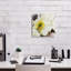 «White Poppies Up Close Neutral» par Shirley Novak, art mural sur toile-470607715