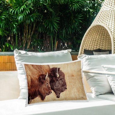 Bison Pair in Countryside Outdoor Printed Pillow by Nathan Larson