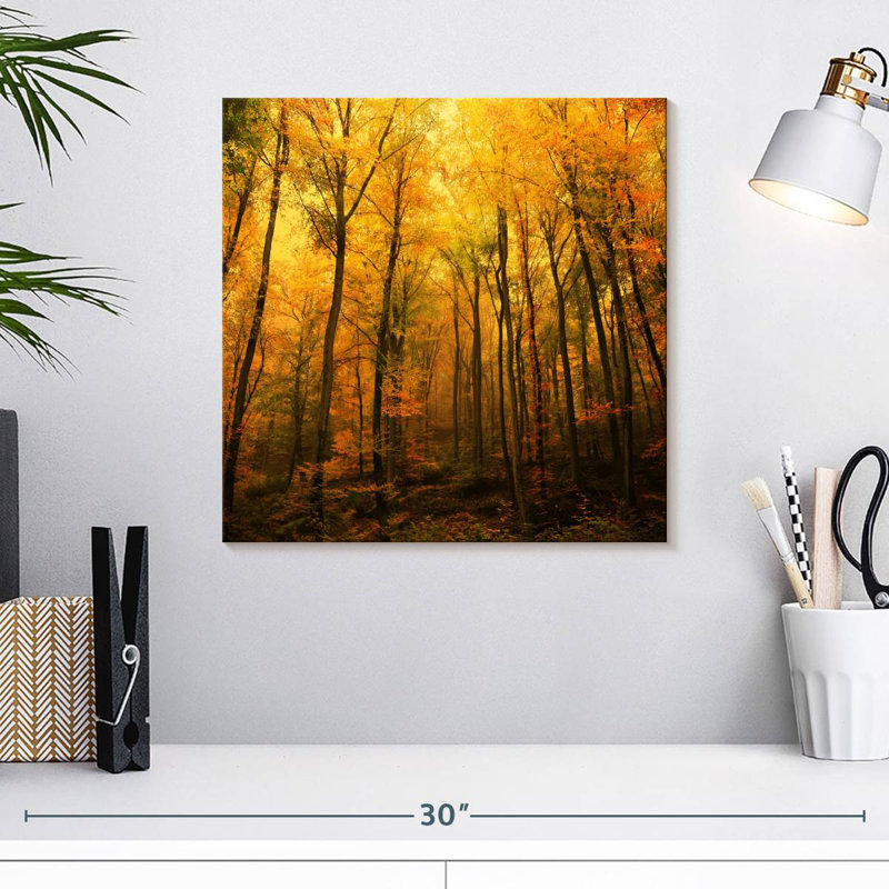 Forêt d'Alvord en automne, H 16 po x l 16 po