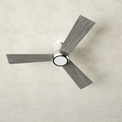 Tulsi Ceiling Fan with Light Kit