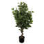 Faux Tree in Metal Planter-101685159-101685163