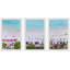 LurLine Weekend Escape by Marmont Hill - 3 Piece Single Picture Frame Print-1306067940
