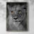 Lioness Portrait Framed Print - Solid Wood