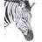 Zebra Modern Framed Canvas Art for Stylish Home Decor