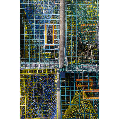 Coastal Trappings V - Graphic Art