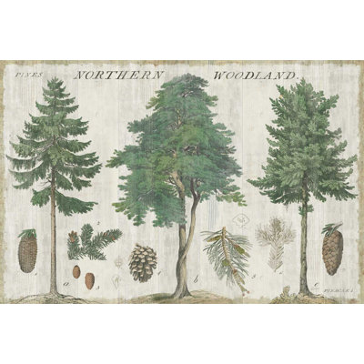 Carte des bois I