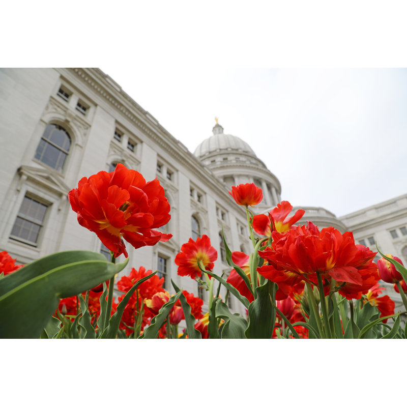 Wisconsin State Capitol par Driftlessstudio, H 8 po x l 12 po