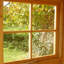 7 Ft. W x 7 Ft. D Shiplap Apex Shed-1452421883