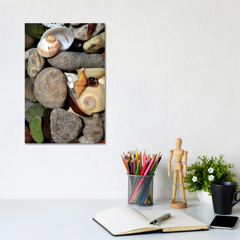 Petoskey Stones II by Michelle Calkins - Wrapped Canvas Print, 30.48cm H x 20.32cm W x 1.905cm D