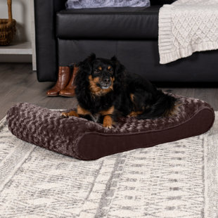 Cushioned Mini Trampoline Pet Bed - Unique Gift Ideas For Pet Lovers
